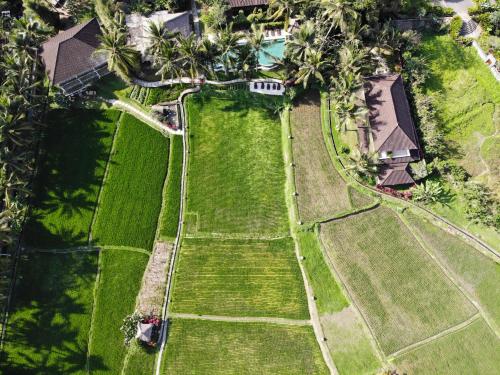 an aerial view of a house with a yard at MATHIS Retreat Ubud in Ubud