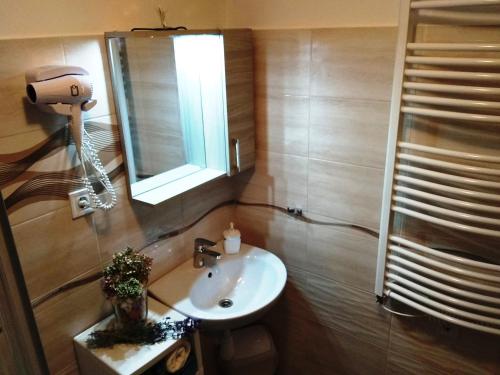 a bathroom with a sink and a mirror at Tulipán Apartman in Bük