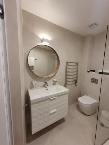 a bathroom with a sink and a mirror and a toilet at Smaragdo apartamentai in Kaunas