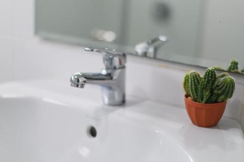 a bathroom sink with a potted plant next to a sink at Eco Inn Lite Nakhon Si Thammarat in Nakhon Si Thammarat