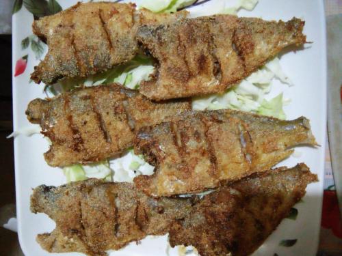 a white plate with four pieces of meat and salad at Hotel Rosary House in Malvan