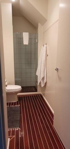 een badkamer met een toilet, een wastafel en een douche bij the boatshed waterfront b&b in Port Fairy
