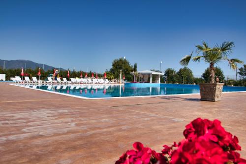 a pool with chairs and red flowers in the foreground at Balneo and SPA Complex MINERAL YAGODA in Yagoda