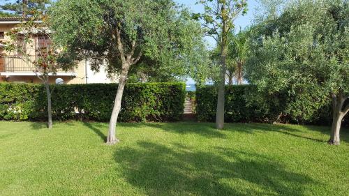a yard with trees and a hedge in front of a house at Villa Sogno sulla Spiaggia in Fontane Bianche