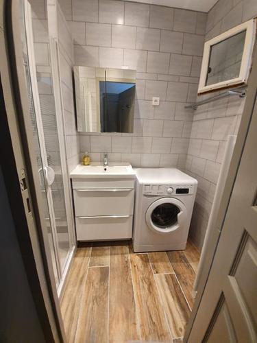 une salle de bain avec une machine à laver et un lavabo dans l'établissement L'eau vive, à Saint-Martin-de-la-Brasque