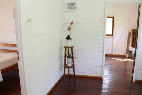 a room with a white wall and a table with a plant on it at BEMA FARM in São José