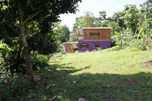 a house in the middle of a field at BEMA FARM in São José