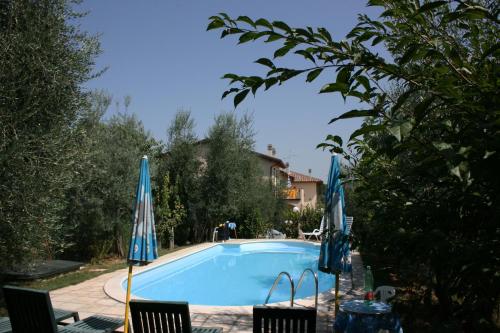 una piscina con sillas y sombrillas en Casa Fanfulla, en Marciano Della Chiana