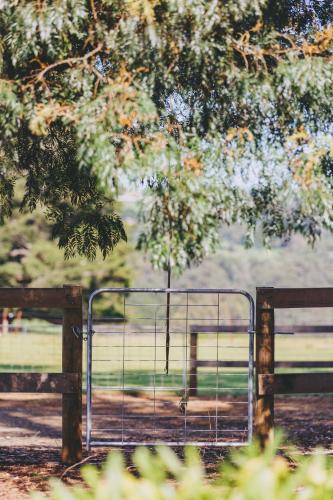 Dalblair Bed & Breakfast – Photos 5