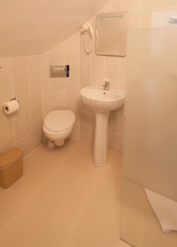 a bathroom with a toilet and a sink at Anelisse Inn in Moieciu de Sus