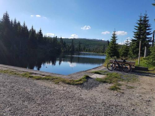 a bike parked next to a bench next to a lake at Ferienwohnung Fürst in Mauth