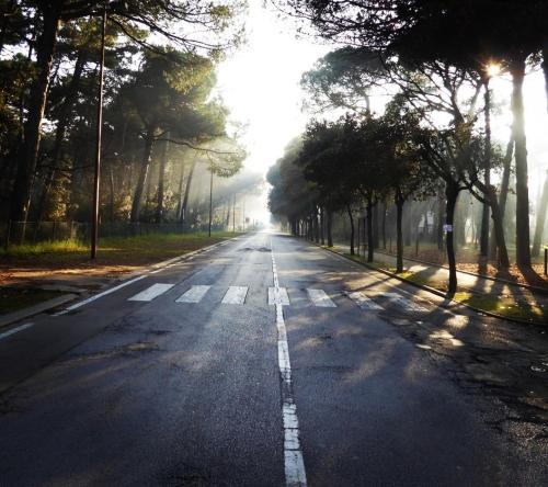 an empty street with trees on the sides of the road at Bilocale Marina Romea in Marina Romea