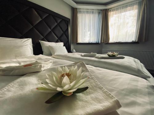 Gallery image of Hotel Lotus in Hermina-major