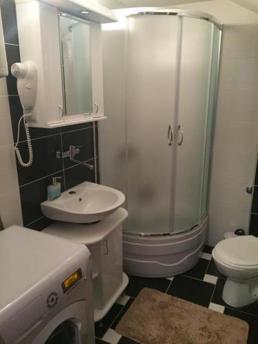 La salle de bains est pourvue d'une douche, d'un lavabo et de toilettes. dans l'établissement Nena apartman, à Zlatibor