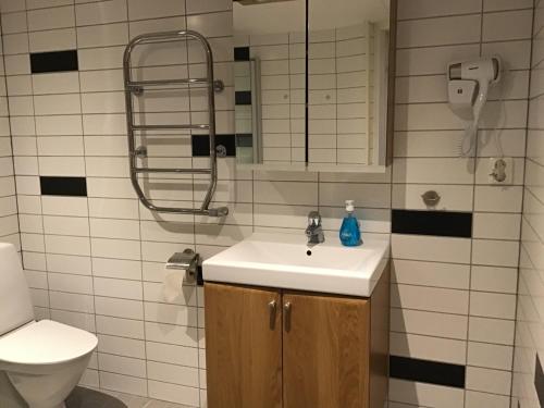 a bathroom with a sink and a shower and a toilet at Nordanå Gård in Strö