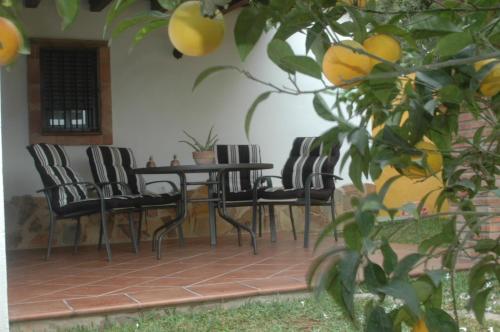 a patio with chairs and a table and a tree at Casa Jazmín in Zahora