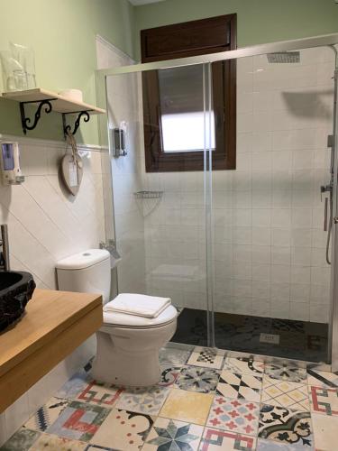 a bathroom with a toilet and a shower at Hostal Aquaforum in Mérida