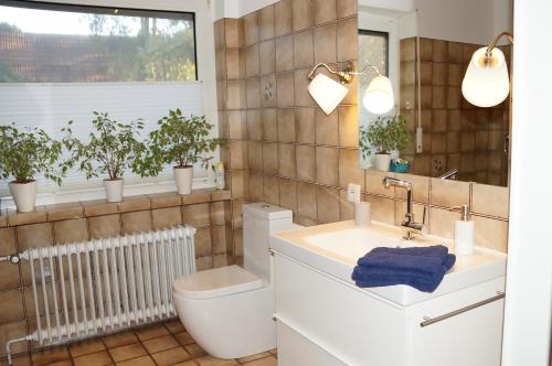 a bathroom with a toilet and a sink and a window at Ferienwohnung auf Resthof in Nordhorn