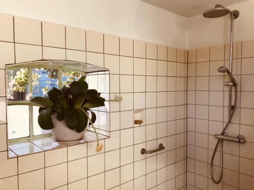 a bathroom with a potted plant in a window at Unique place on the river Waal in Heerewaarden