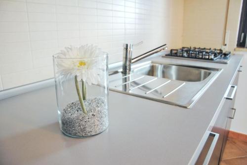 un vaso con un fiore bianco sul bancone della cucina di B&B Angelina a Triggiano