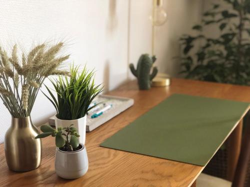 two vases with plants sitting on a wooden desk at La Stube de Marinette 5 étoiles in Hipsheim
