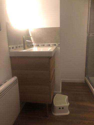 une salle de bain avec un lavabo et une douche dans l'établissement The Family industry, à Colmar