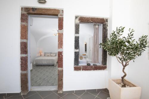 a room with two mirrors and a potted tree at Santorini View Studios - Firostefani Caldera in Firostefani