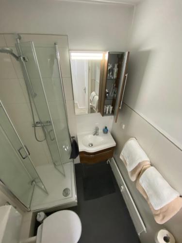 a bathroom with a shower and a toilet and a sink at Apartment Hannover /Laatzen in Hannover