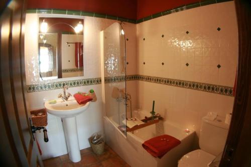 a bathroom with a sink and a shower and a toilet at Casa Rural El Tenado in Aldea de Trujillo