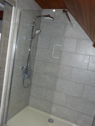a shower with a glass door in a bathroom at LES CHAMBRES DU GAVE D'OSSAU in Arudy