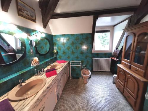 uma casa de banho com um lavatório e um WC em La demeure aux Pins em Lourdes