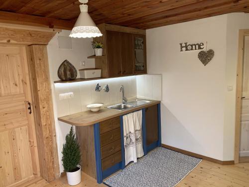 a kitchen with a sink and a counter top at Vila Jana in Radovljica