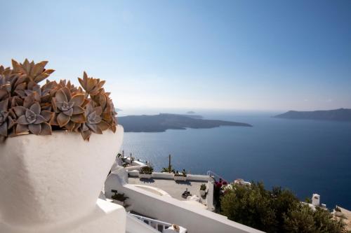 a potted plant on the side of a building overlooking the ocean at Santorini View Studios - Firostefani Caldera in Firostefani