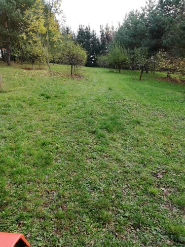 a field of green grass with trees in the background at Pod Sową in Drawsko Pomorskie