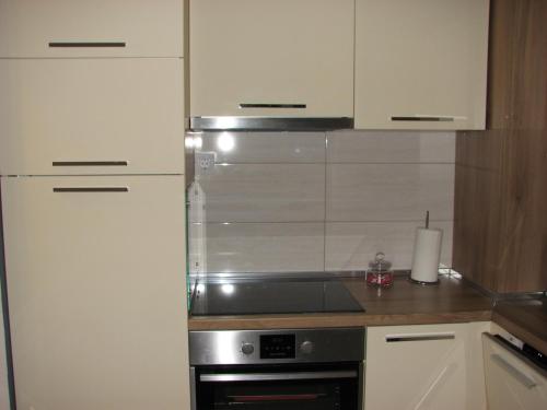 Gallery image of Apartments B&S Lux in Budva