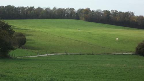 a green field with two animals in the middle at Gite Du Colombier in Le Fied