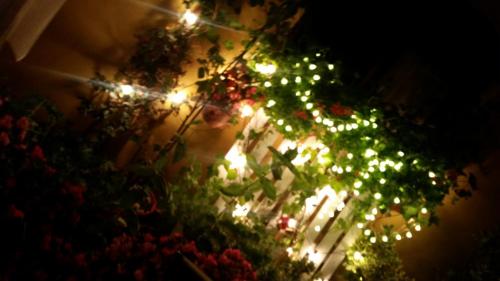 Un arbre de Noël avec des lumières allumées la nuit dans l'établissement El Cuartelillo Viejo, à Polientes