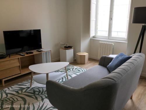 a living room with a couch and a table and a tv at La Palmeraie - Appartement classé 4 étoiles - Hyper centre ville in Quimper