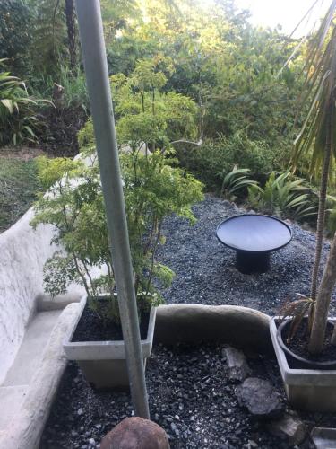 a garden with two potted plants and a table at Earthship Daintree in Cow Bay