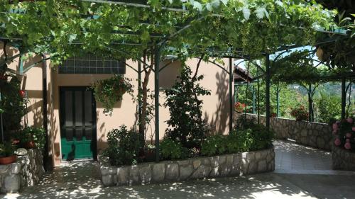 Taman di luar Apartments Komel II