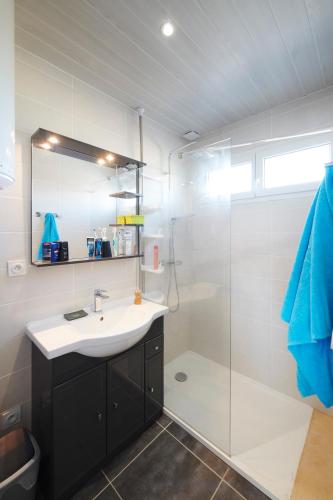 une salle de bain avec un lavabo et une douche en verre dans l'établissement Les Gîtes de la Galaure SPA en option, à Châteauneuf-de-Galaure