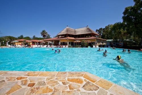 people are swimming in a swimming pool at Camping Free Beach in Marina di Bibbona