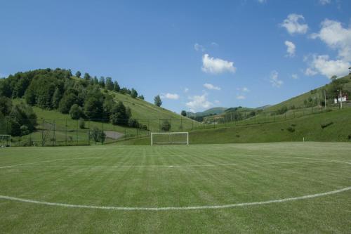 a soccer field with a soccer ball on it at Guesthouse Junior in Kopaonik