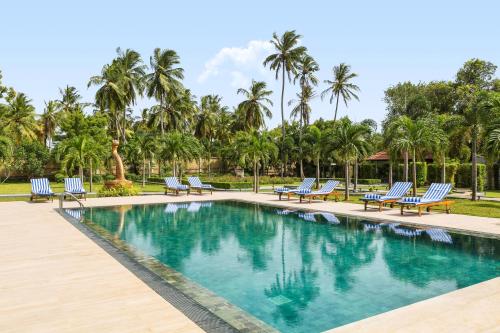 a swimming pool with lounge chairs and palm trees at Fox Jaffna in Jaffna