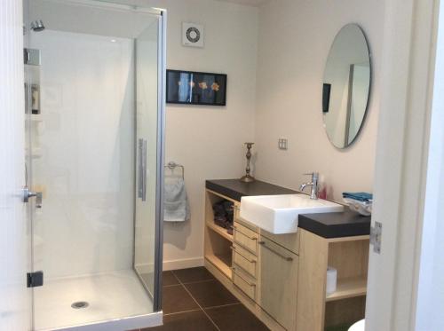 a bathroom with a shower and a sink and a mirror at Hadley Close in Dunedin