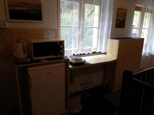 a microwave sitting on a counter next to a window at Penzion Ski in Karlova Studánka