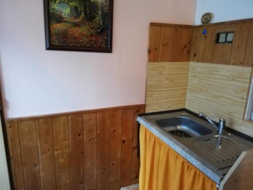 Nhà bếp/bếp nhỏ tại Penzion Ski