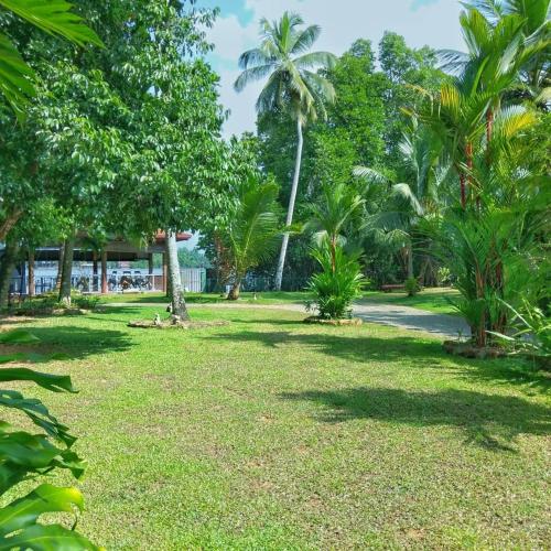 Jardin de l'établissement Selavi Resort Bentota