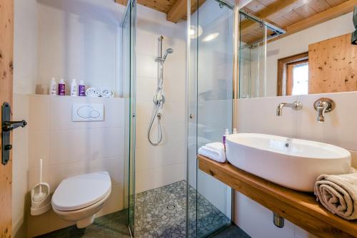 a bathroom with a shower and a sink and a toilet at Almdorf Almlust in Flachau