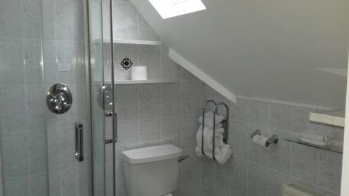 a bathroom with a shower with a toilet and a glass door at Ashfield B&B in Kenmare